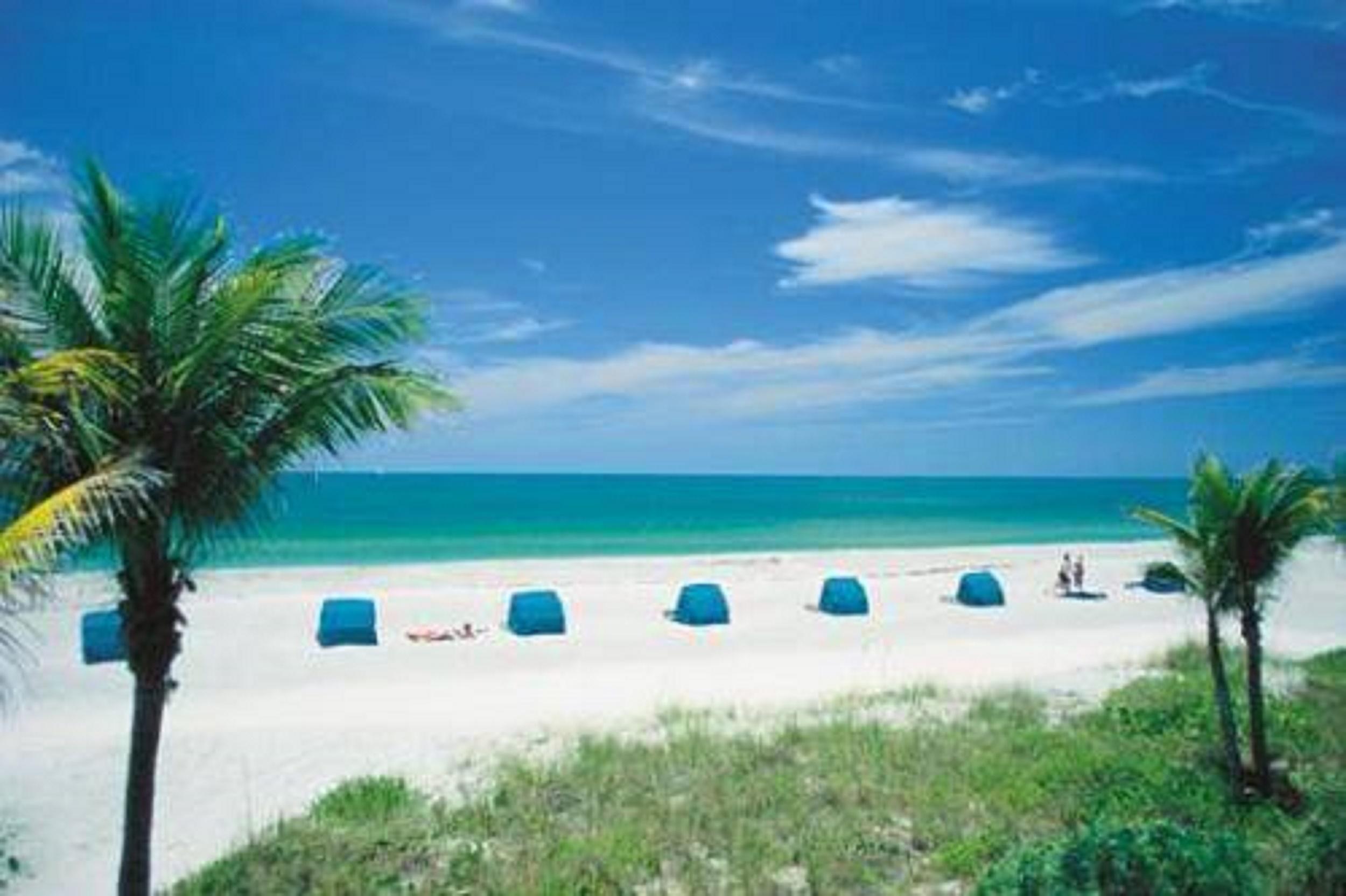 The Beachcomber St. Pete Beach Resort & Hotel Ανέσεις φωτογραφία